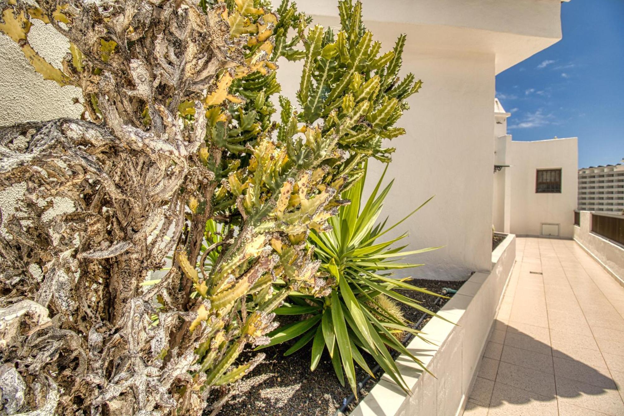 Penthouse Sea View Jacuzzy Terrace & Pool Διαμέρισμα Playa Feñabe Εξωτερικό φωτογραφία