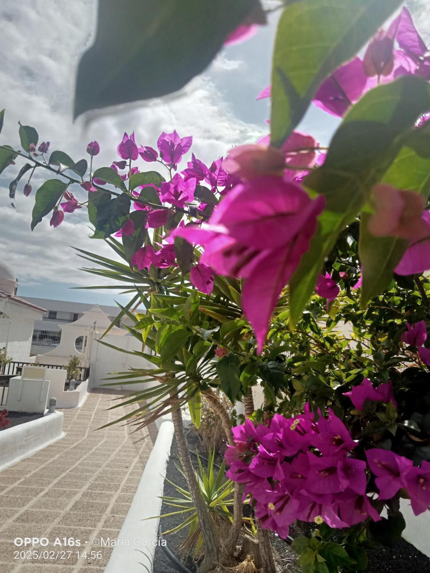 Penthouse Sea View Jacuzzy Terrace & Pool Διαμέρισμα Playa Feñabe Εξωτερικό φωτογραφία